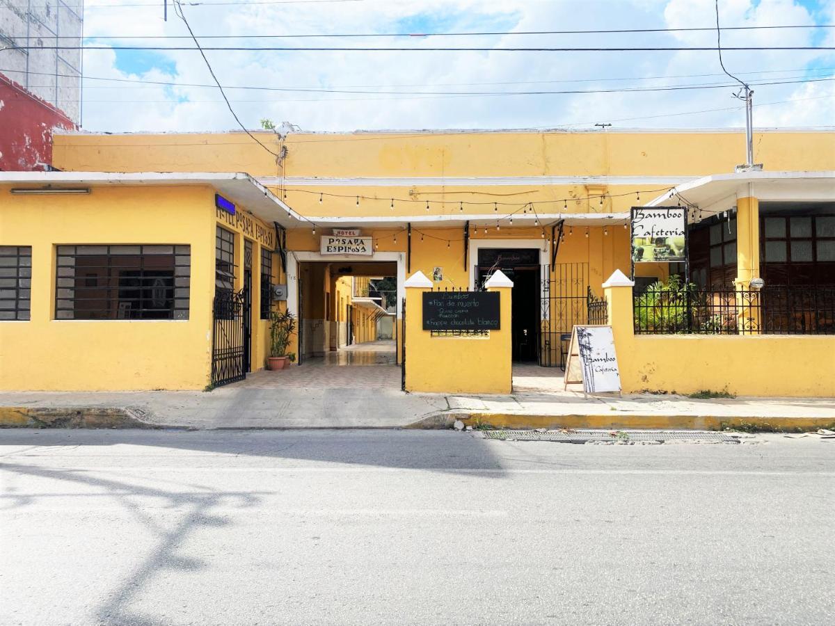 Oyo Posada Espinosa, Merida, Parque De Santa Ana Buitenkant foto